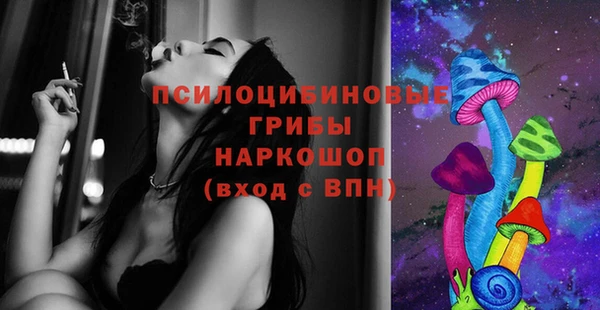 гидропоника Арсеньев