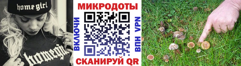 Галлюциногенные грибы ЛСД где купить наркоту Луза